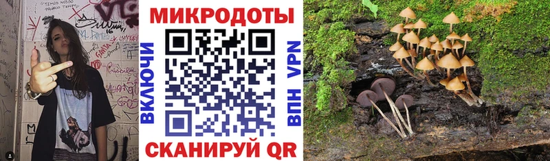 продажа наркотиков  Нея  Галлюциногенные грибы Psilocybine cubensis 
